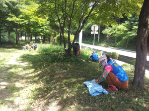 봉화, 2단계 공공근로사업 신청하세요