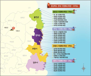 올 여름은 청정 경북 동해안 해수욕장서!