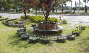 영주 가흥2동 주민자치위, 연꽃 사진 콘테스트 개최