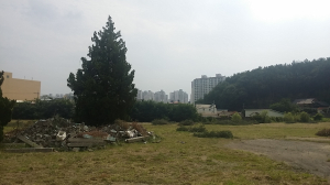 “포항 미군 저유소 부지, 행사때 주차장 활용해야”