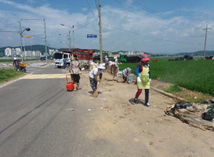고령군 다산면 호촌2리 새마을부녀회 환경정화 활동