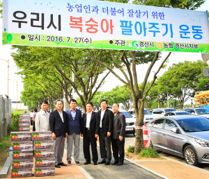경산시, 농협과 손잡고 복숭아 소비촉진 나서