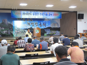 양파 정식 기계화로 품질과 소득을 한번에