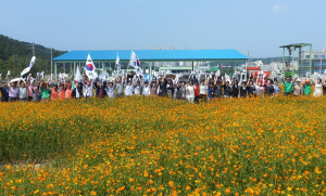 포항 장량동주민센터, 코스모스 꽃밭 조성