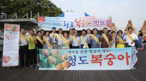 맛 좋은 청도복숭아, 서울서도 인기 최고