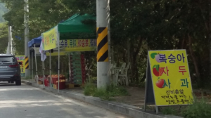 (카메라 고발) 선비촌 입구에 불법 노점상 ‘골치’