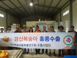 ‘경산복숭아’ 홍콩 첫 나들이