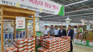 달콤한 영주사과 사세요~