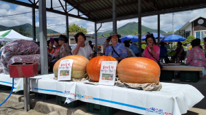 더도 말고 오늘만 같아라!