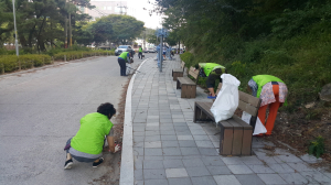 포항 우창동 사랑모임, 자연정화활동
