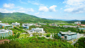 4대 명품교육이 빛나는‘대구가톨릭대학교’