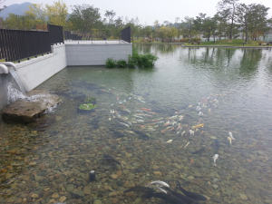 추석연휴 경북도청 볼거리 ‘풍성’