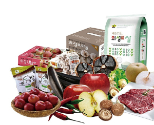 ‘활력 넘치는 희망 의성’ 만든다