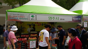영주 농ㆍ특산물, 소비자 입맛에 딱!