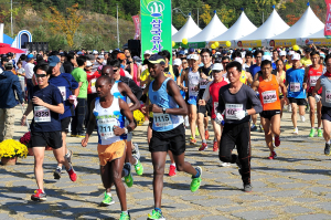 전국 마라톤 마니아, 8일 군위로 GO