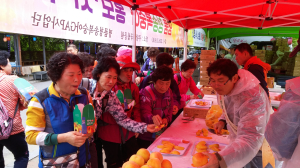 청송복숭아, 맛도 품질도 최고!