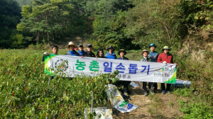 봉화, 가을철 수확기 맞아 농가 일손돕기 지원 ‘호응’
