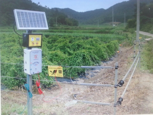 ‘전기울타리’ 함부로 설치하지 마세요