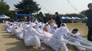 포항 송라면 화진리 전통 앉은줄다리기 재현행사