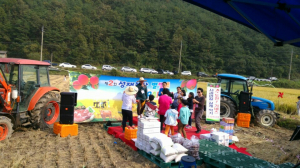 “벼 수확하고 메뚜기도 잡아요”