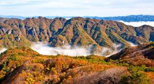 청량산도립공원, 특별관리 추진 