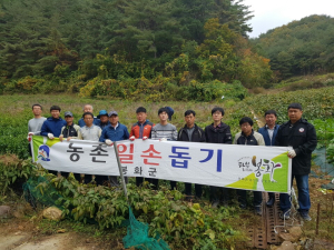 봉화 도시환경과-재산면, 농촌 일손돕기