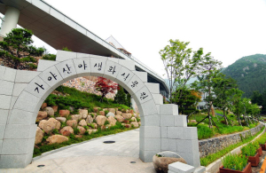 성주 가야산야생화식물원, 내달 6일까지 입장료 할인