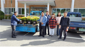 죽장면개발위, 단풍철 맞아 기관 및 상가에 국화 분양