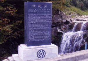 ‘동학의 Glocalization’