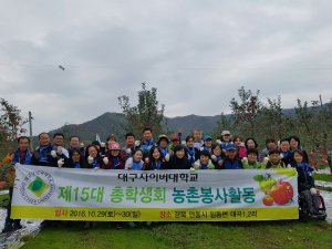 대구사이버대, 안동 대곡리서 가을철 농촌봉사