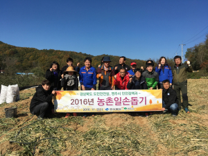 도청 도민안전실, 영주시 안전정책과 농촌 일손돕기