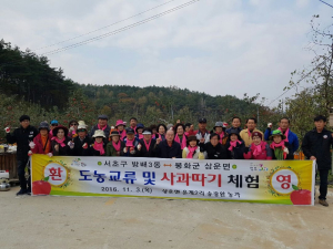 사과따기 일손돕기 ‘구슬땀’