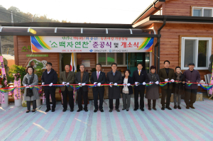 건강 밥 도둑 ‘밥엔장아찌’