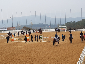 ‘승마의 진수’…전국대회 시작