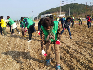 장량 Green Way 공한지 유채꽃 파종