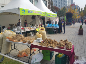 ‘김장은 봉화 농특산물로~’