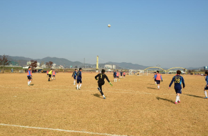 고령군수기 야구ㆍ축구대회 성료