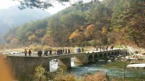 겨울정취에 흠뻑 빠져들다