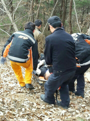 의성소방서, 벌목작업자 구조