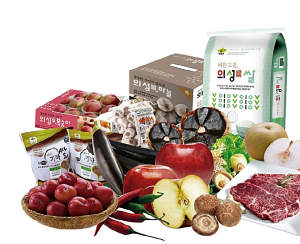 사러ㆍ놀러ㆍ살러 오는 의성…차별화된 승부수 던졌다