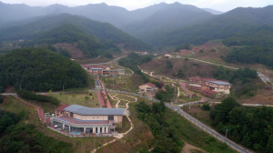 ‘먹고사는 산’ 경북도 新 산림시대 연다