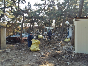 포항 남구청, 송림 환원 시키기 경관개선 ‘원상복구’ 시행 中