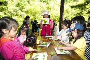 청송, 4년 연속 ‘산림교육 우수기관’ 선정…자연과 교감하며 체험해요