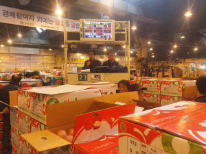 아삭ㆍ달콤 영양 사과愛…수도권 입맛 ‘매료’