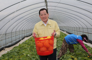 세계 최고 성주참외 ‘첫 출하’