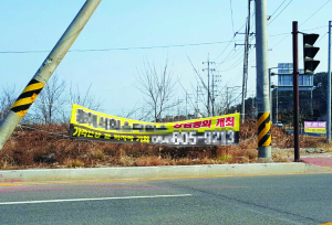 <카메라고발> 너덜너덜 ‘불법 현수막’에 포항시 몸살