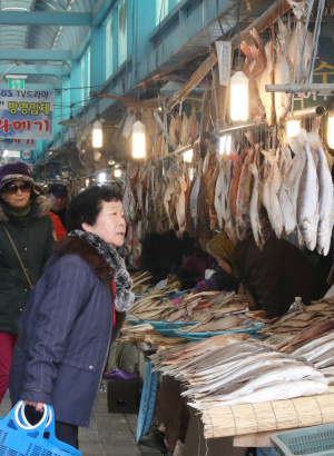 (포토) ‘어떤 게 좋을꼬’