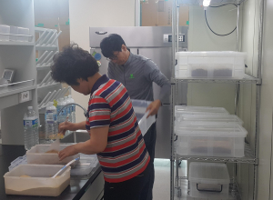군위 친환경농가, 고품질 친환경 농산물 생산 ‘힘’…韓 최초 ‘천적곤충생산 작목반’ 탄생