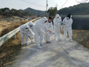 봉화, 구제역과의 전쟁 선포