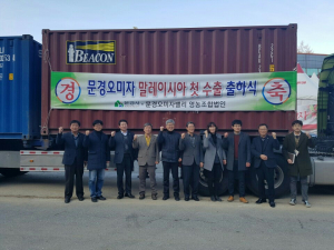 세계 입맛 사로잡은 ‘문경오미자’